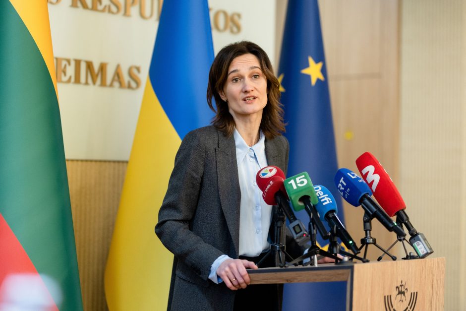 V. Čmilytė-Nielsen: rugsėjį rengti pirmalaikius rinkimus – neracionalu