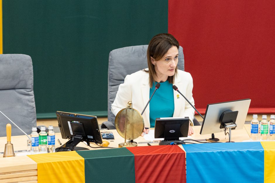 Seimo posėdis dėl pirmalaikių rinkimų
