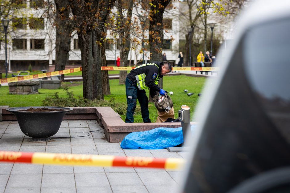 Vilniuje prie Vyriausybės mirė moteris