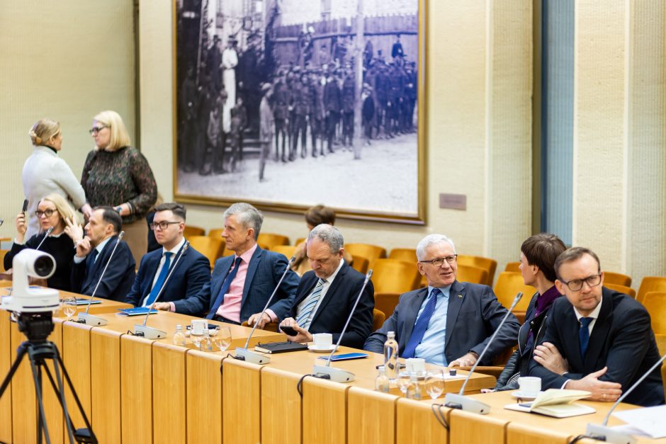 Prieš NATO viršūnių susitikimą į Vilnių planuojama kviesti parlamentų vadovus