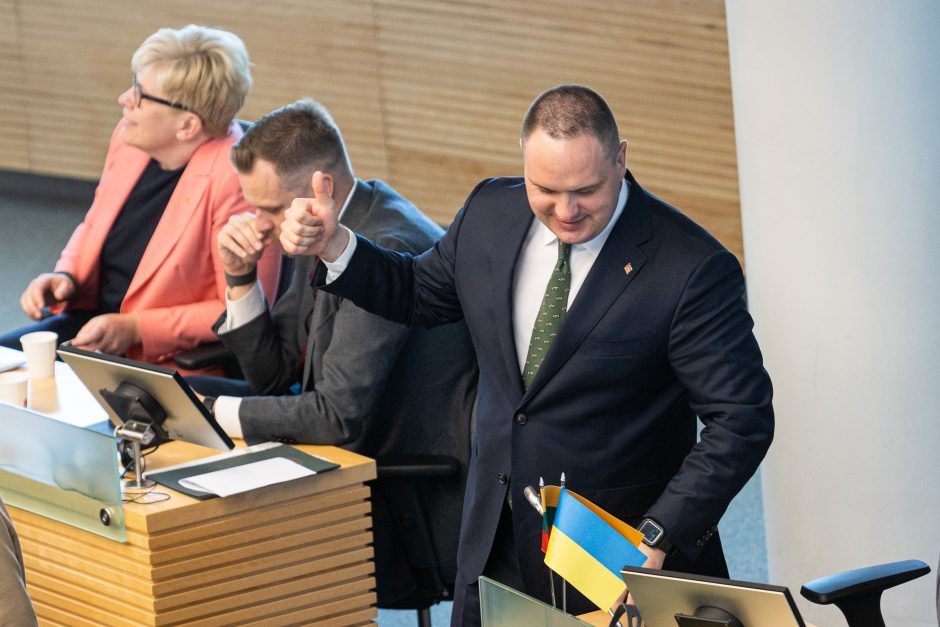 Seimo posėdis dėl pirmalaikių rinkimų