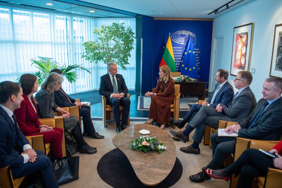 G. Nausėda: Lietuva tvirtai remia Sakartvelo pilietinę visuomenę kelyje į Europą