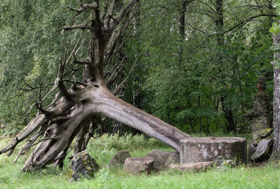 Valstybiniai parkai pardavė 300 tūkst. lankytojų bilietų