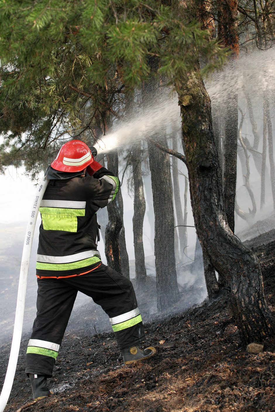 Ugniagesiai įspėja apie didėjantį miškų gaisringumą