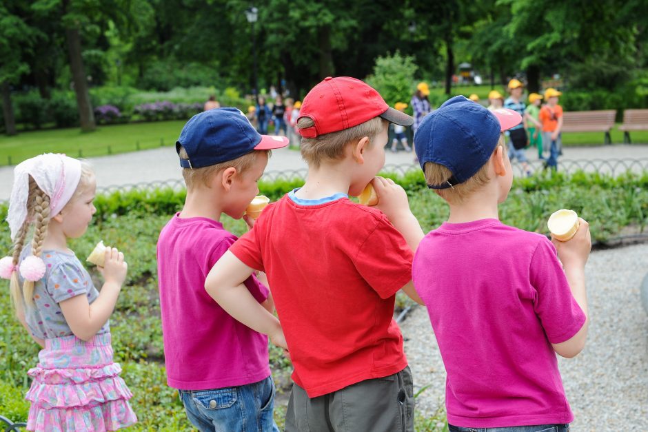 Akmenės meras kritikuoja planus centralizuoti vaiko teisių apsaugos sistemą