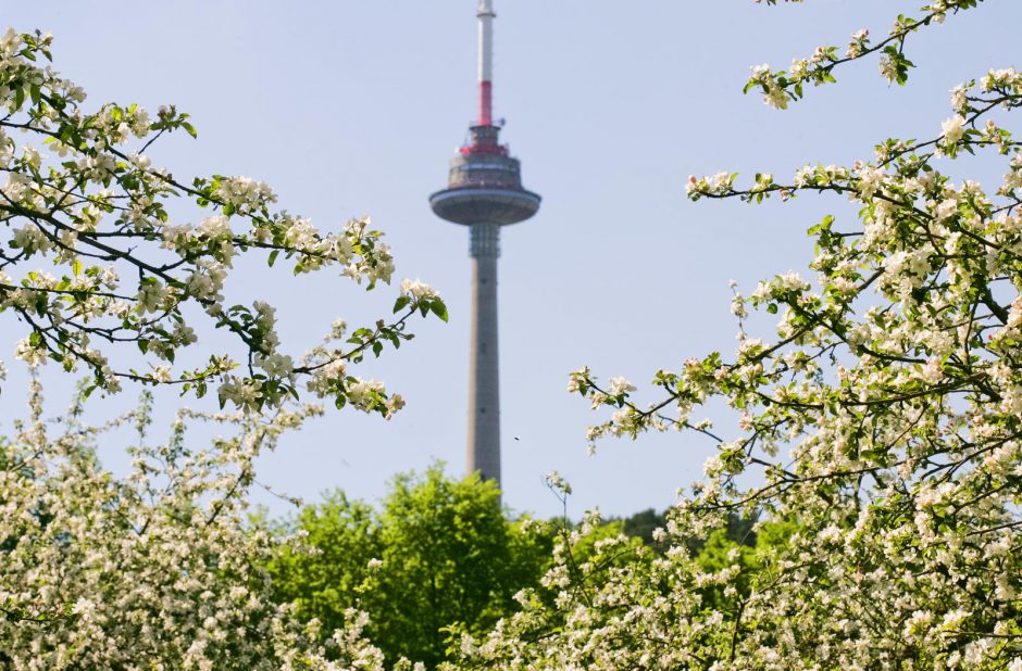 Birželį Vilniaus televizijos bokštas švies vasaros spalvomis