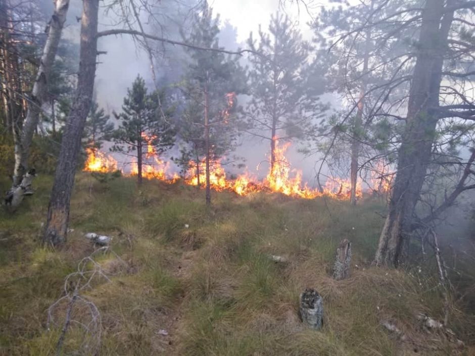 Miškininkai įspėja apie gaisrų pavojų: prašo nedeginti pernykštės žolės