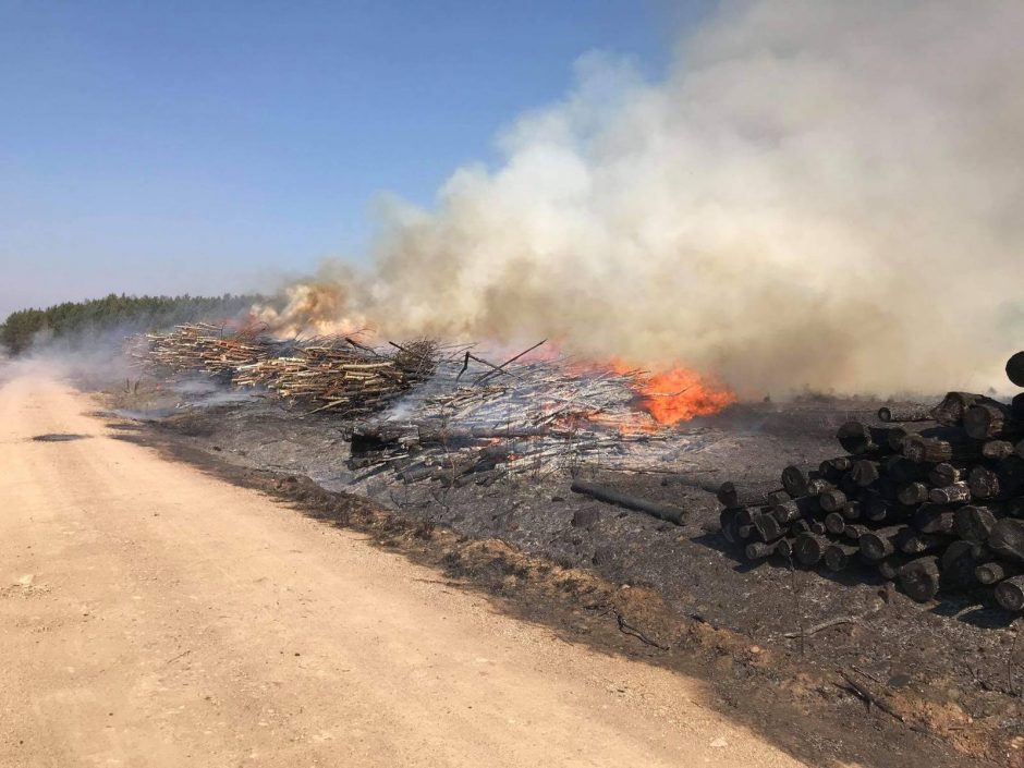 Miškininkai įspėja apie gaisrų pavojų: prašo nedeginti pernykštės žolės