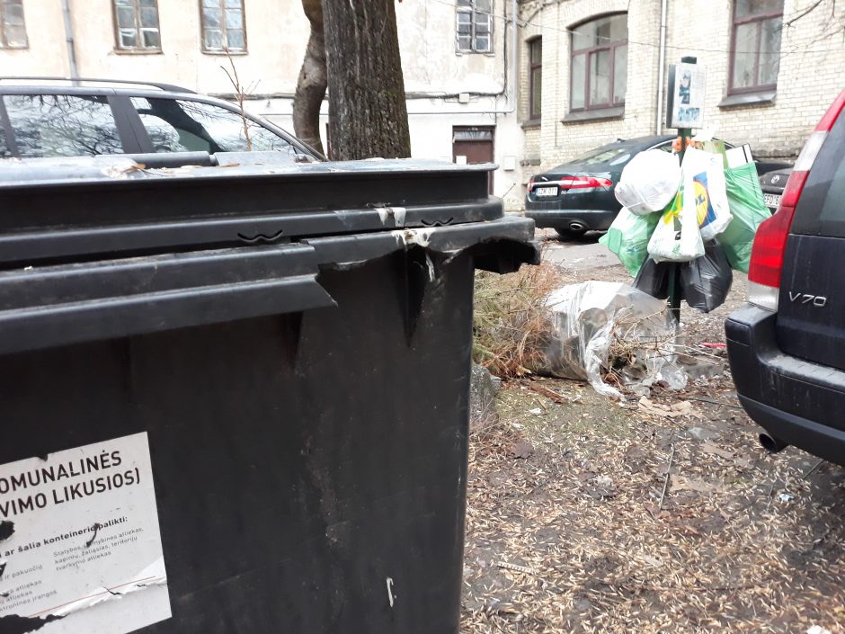Atliekų reformos grimasos: siūlo šiukšles kratyti kaimynams