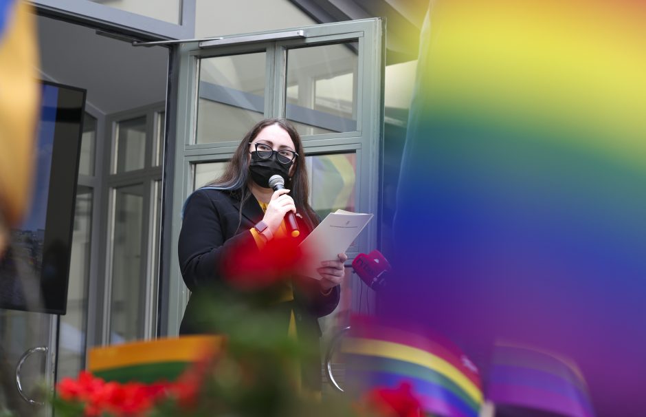 Gėjų lygos vadovas: reikėtų ne tik Partnerystės įstatymo, bet ir specialaus plano LGBT