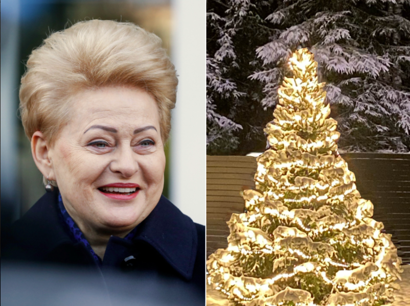 Prezidentė D. Grybauskaitė laukia Kalėdų: jau įžiebė eglę