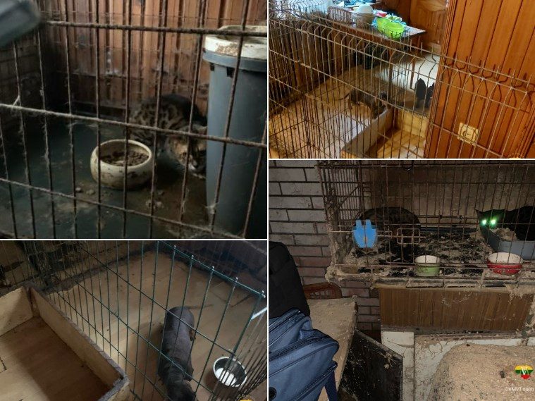 Marijampolėje aptikta nelegaliai veistų gyvūnų: sąlygos – pasibaisėtinos