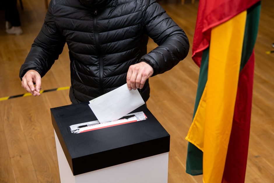 Konstitucijos pataisa dėl tiesioginių merų rinkimų įveikė pirmą barjerą