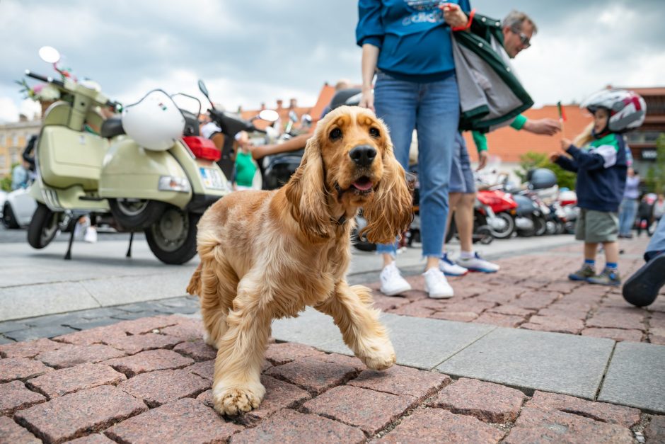 Vilniuje jau trečią dieną tęsiasi „Itališkos atostogos“