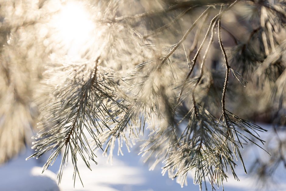 Orai: permainos išmuš žiemą iš vėžių – plūstels šiluma