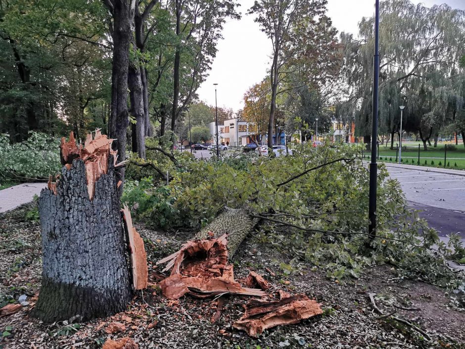 Dėl paiko politikavimo – bėdos ir didelės išlaidos