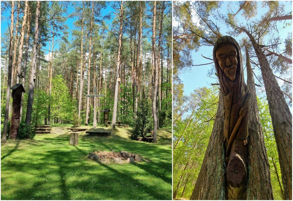 Savaitgalis Dzūkijoje: iškeisk miestą į mišką