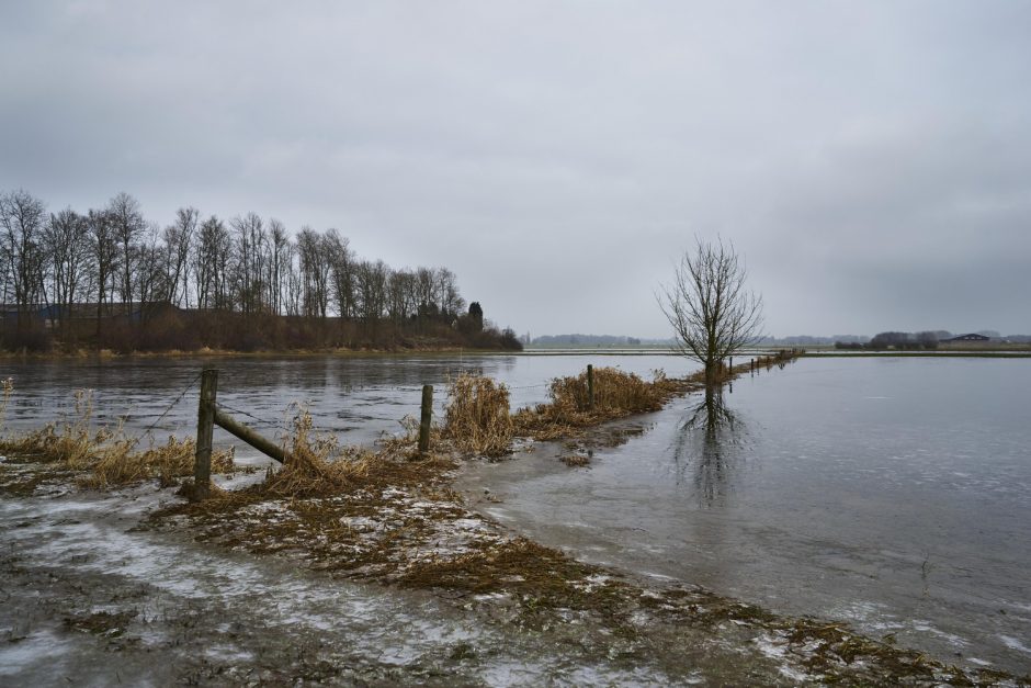 Pataria ūkininkams nebūti orakulais: štai, ką siūlo