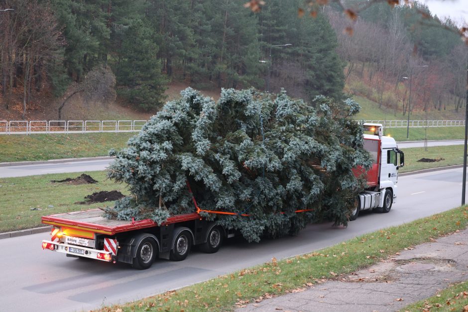 Kalėdinė Kauno kelionė prasideda!