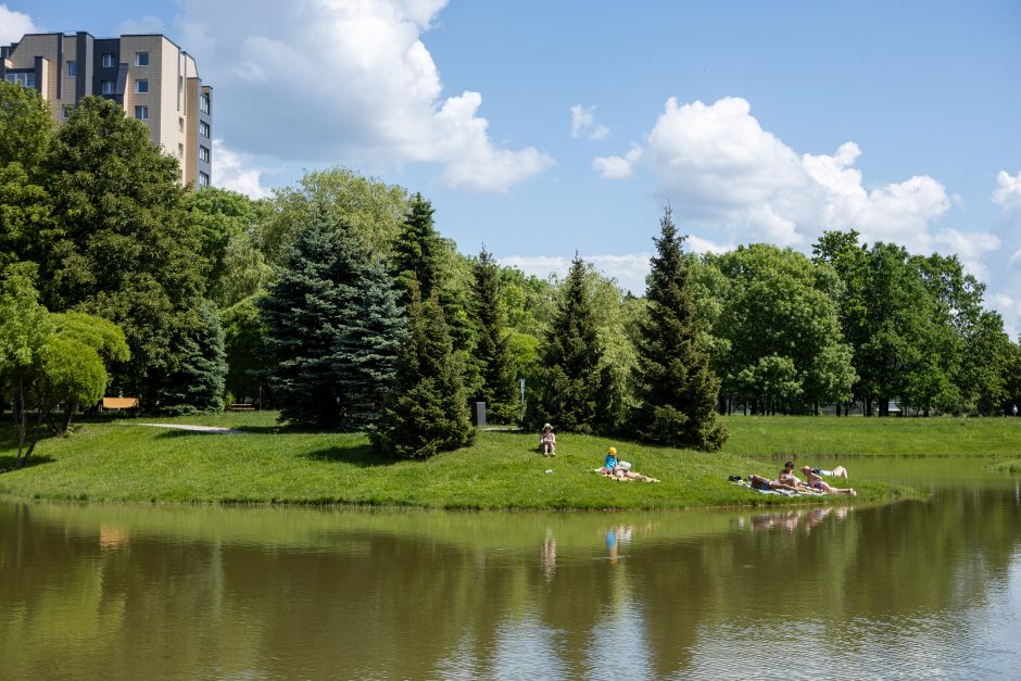 Kalniečių parke – skulptūrų galerija