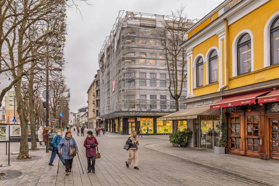 „Pienocentro“ galvosūkis: kaip ištaisyti klaidas?