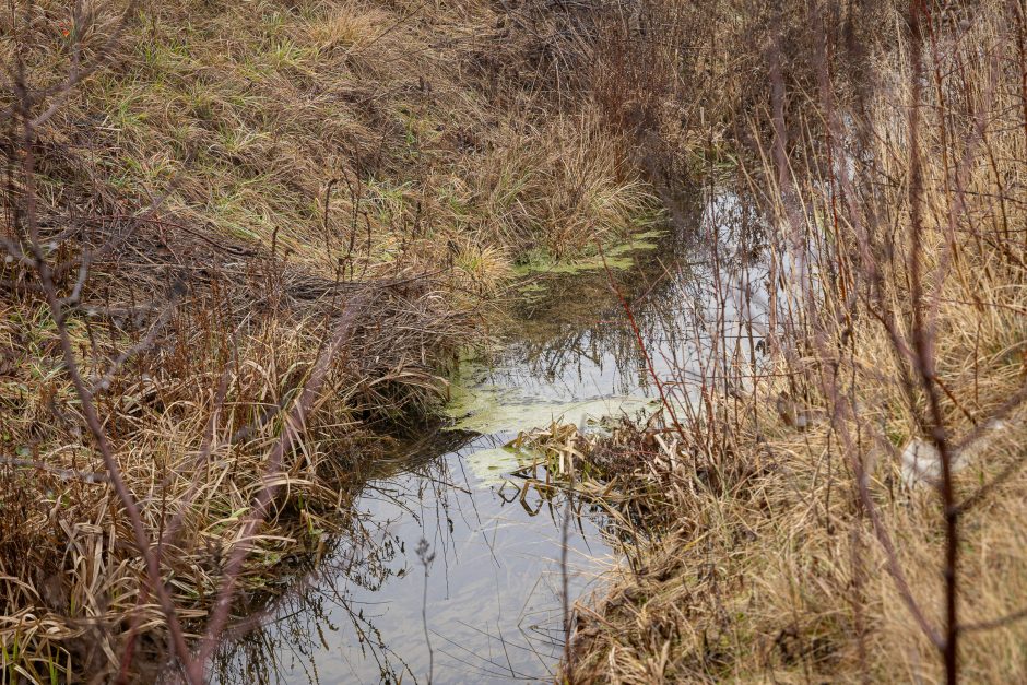 Naujakurių bėda – mįslingas vamzdynas