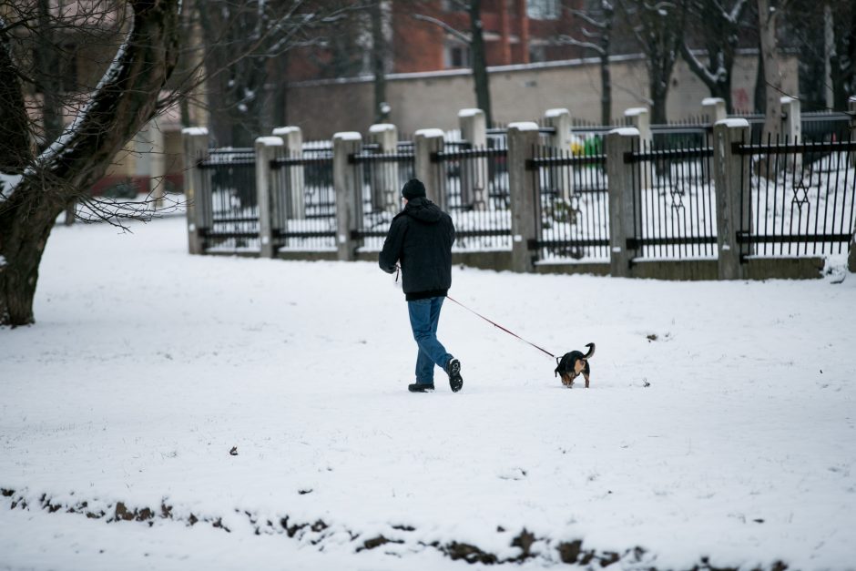 Kelininkai nuo sniego išvadavo vos septintadalį Kauno gatvių