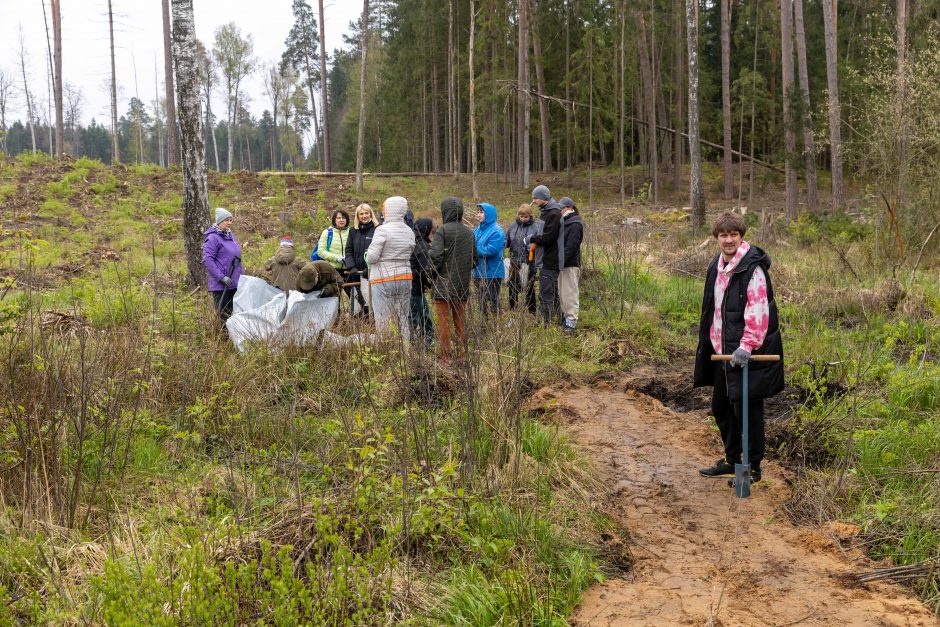 Nacionalinis miškasodis – ir Kauno rajone: nesutrukdė net lietus