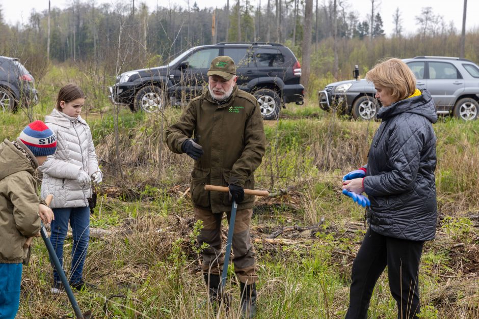 Nacionalinis miškasodis – ir Kauno rajone: nesutrukdė net lietus