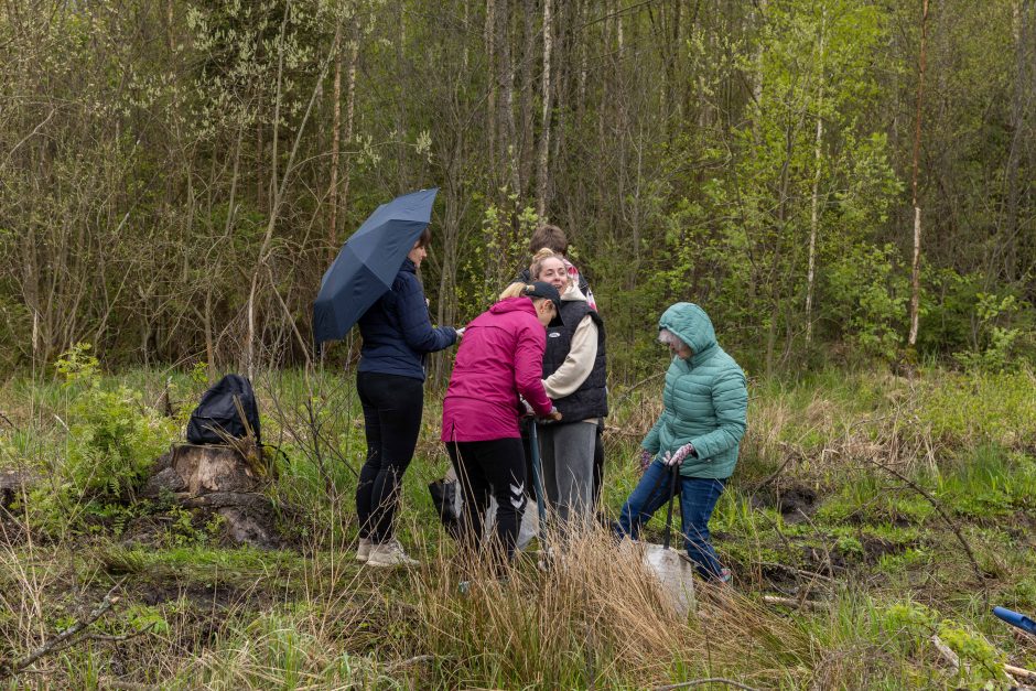 Nacionalinis miškasodis – ir Kauno rajone: nesutrukdė net lietus