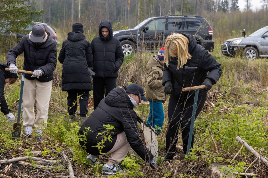 Nacionalinis miškasodis – ir Kauno rajone: nesutrukdė net lietus