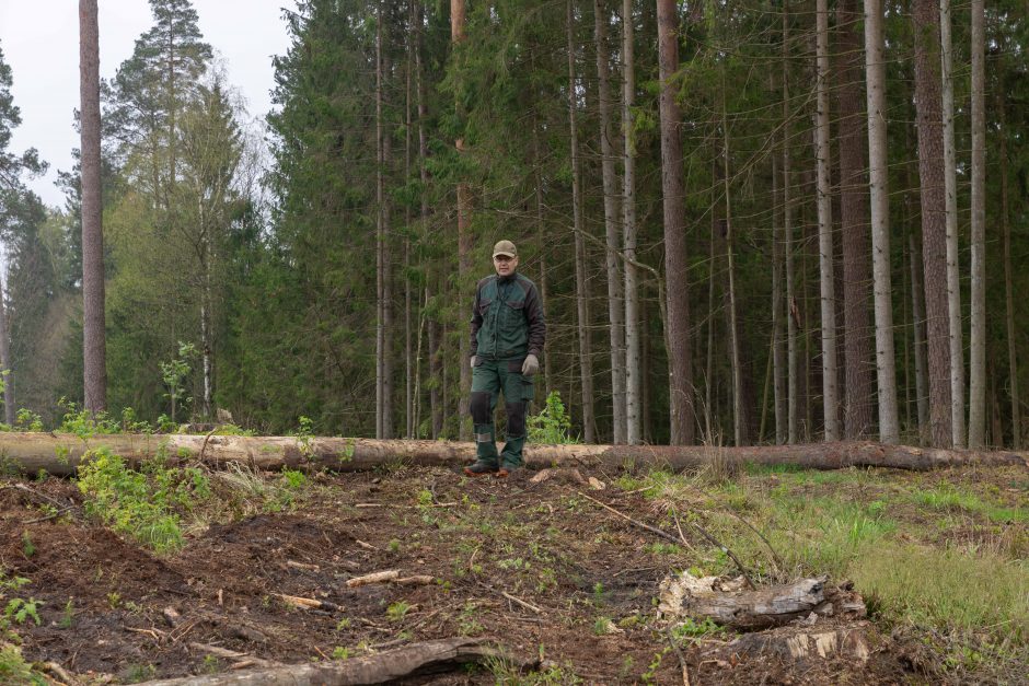 Nacionalinis miškasodis – ir Kauno rajone: nesutrukdė net lietus