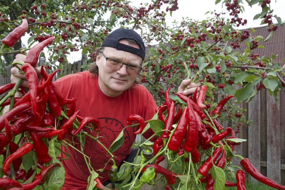 Fotografui P. Lileikiui daržininkystė ir kulinarija – tai kūryba