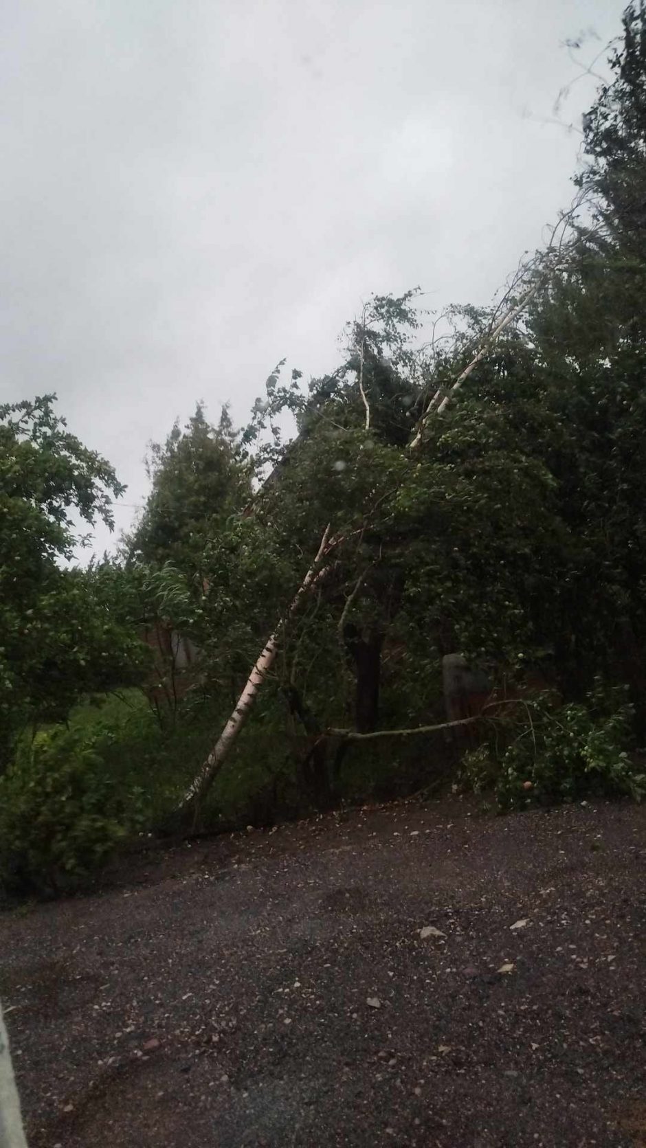 Meras: Akmenės rajone dėl audros padarytos žalos bus skelbiama ekstremali situacija