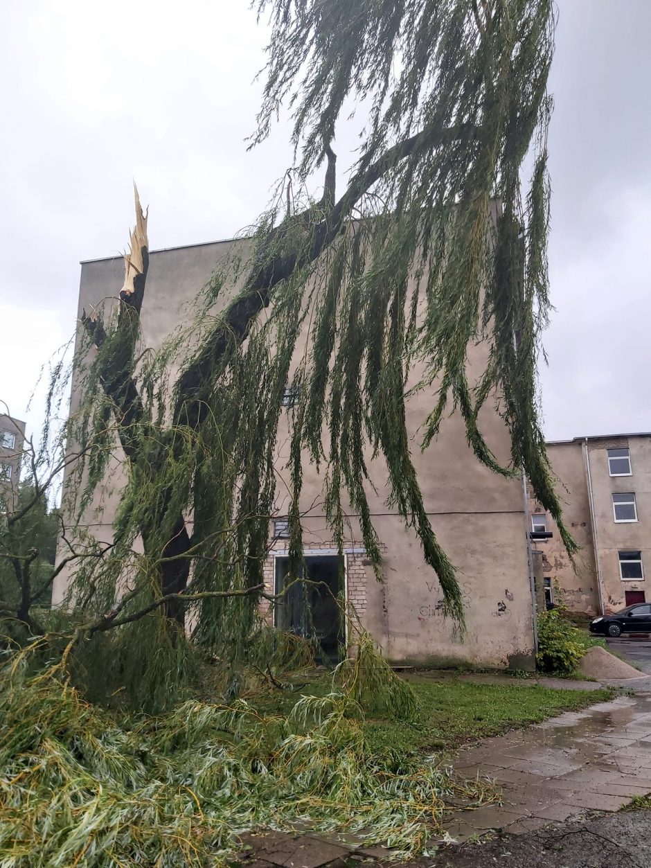 Ugniagesiai toliau šalina audros padarinius: praėjusią parą vyko į 109 iškvietimus