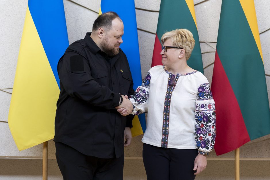 I. Šimonytė susitiko su Ukrainos Aukščiausiosios Rados Pirmininku R. Stefančiuku