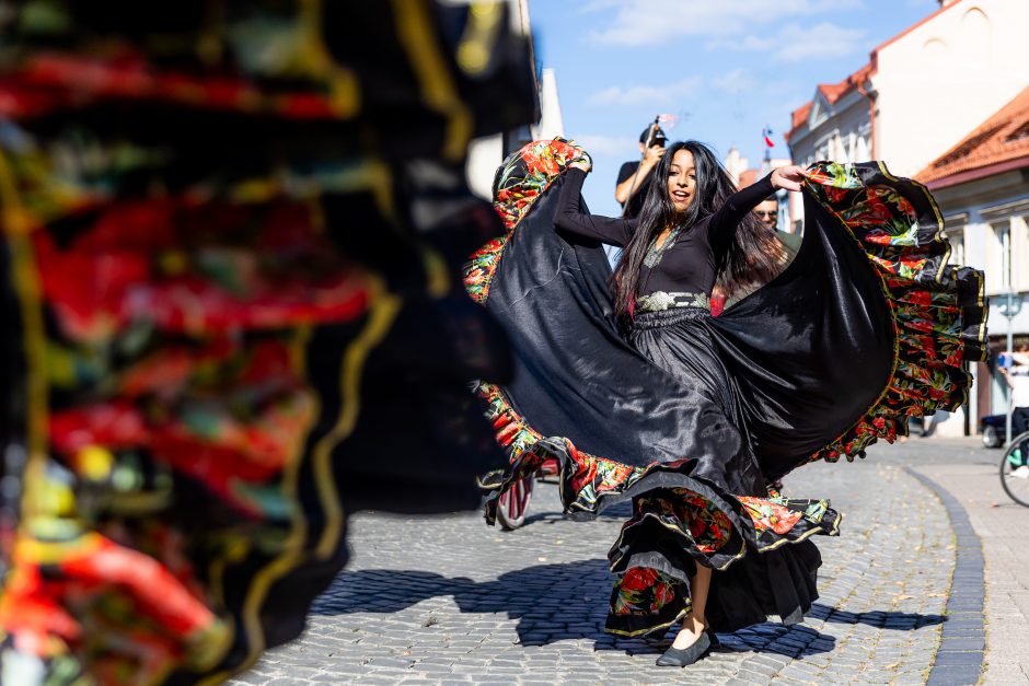 Vilniuje vyko romų festivalio „Gypsy Fest“ eisena