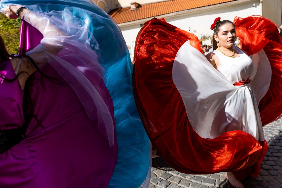 Vilniuje vyko romų festivalio „Gypsy Fest“ eisena