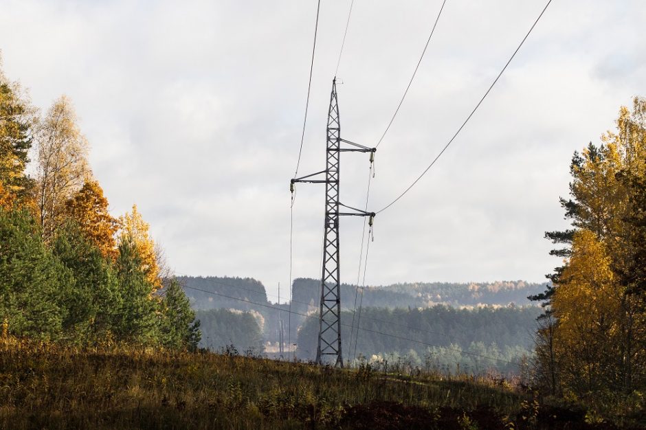 Kalinys sukėlė ant kojų specialiąsias tarnybas: įlipo į 15 metrų elektros stulpą