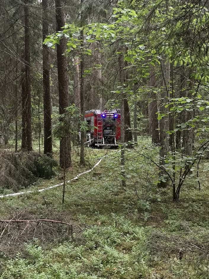 Prienuose per gaisrą išdegė daugiau nei trys hektarai miško