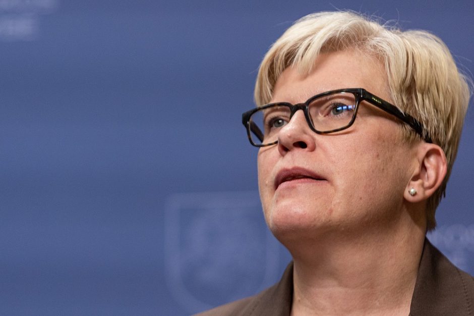 I. Šimonytė: VGT nariai buvo informuoti, kad galimybių skolintis gynybai nebus