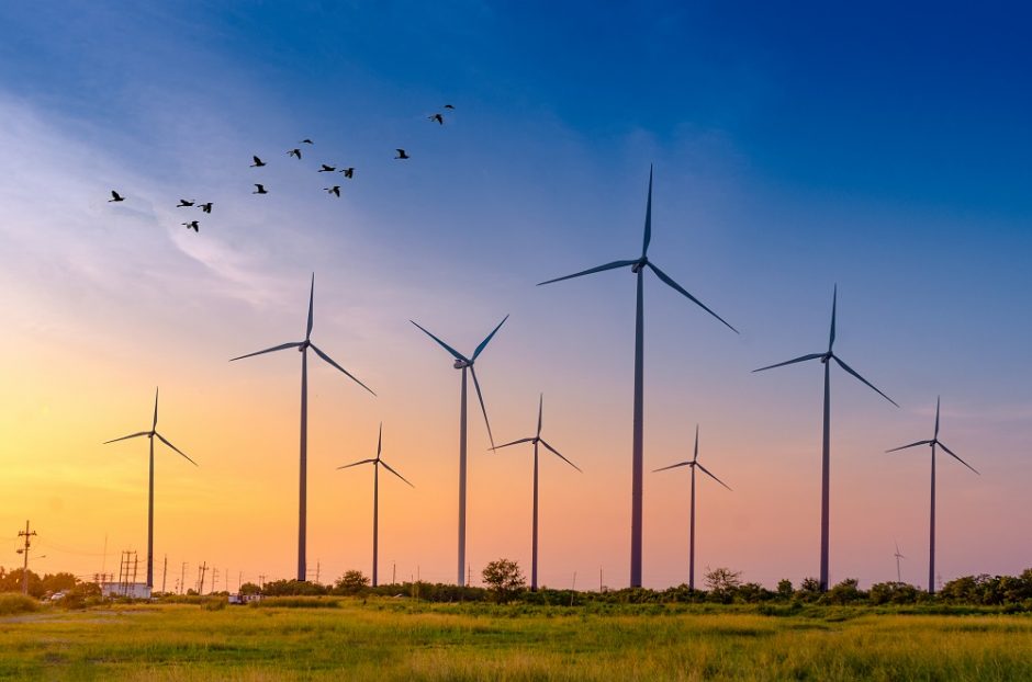 STT: savivalda piktnaudžiauja prastu vėjo parkų PAV reglamentavimu