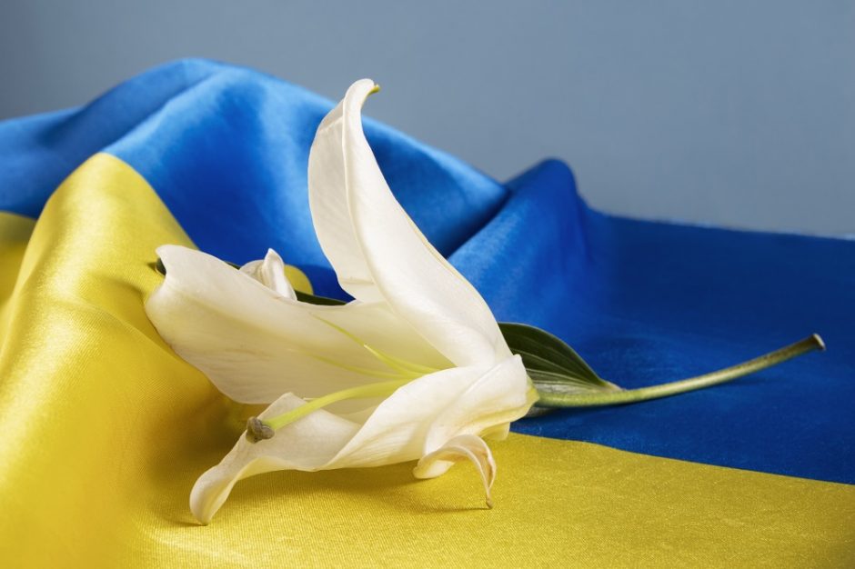 Estijos teismas skyrė viešųjų darbų piliečiui, išniekinusiam Ukrainos vėliavą