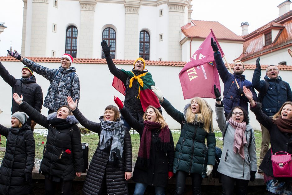 A. Tapinas pasidalijo įspūdžiais po mitingo: ėjome kaip dvi bangos