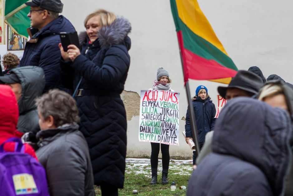 A. Tapinas pasidalijo įspūdžiais po mitingo: ėjome kaip dvi bangos