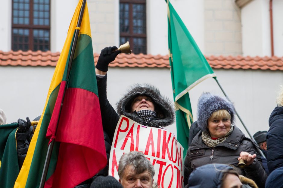 A. Tapinas pasidalijo įspūdžiais po mitingo: ėjome kaip dvi bangos