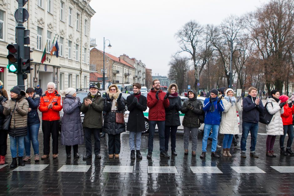 A. Tapinas pasidalijo įspūdžiais po mitingo: ėjome kaip dvi bangos