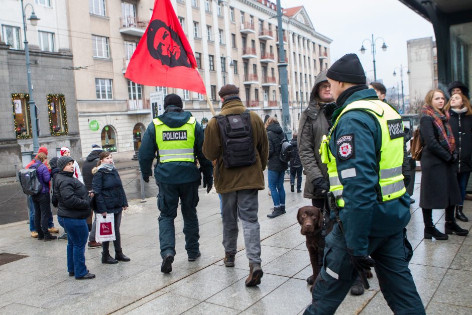 A. Tapinas pasidalijo įspūdžiais po mitingo: ėjome kaip dvi bangos