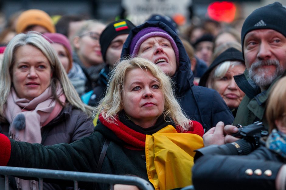 A. Tapinas pasidalijo įspūdžiais po mitingo: ėjome kaip dvi bangos