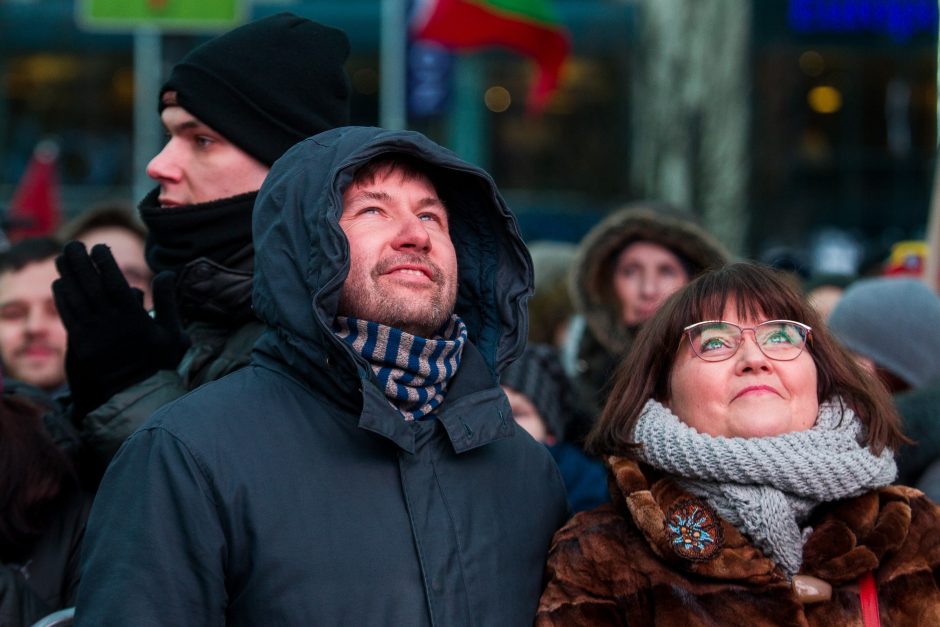 A. Tapinas pasidalijo įspūdžiais po mitingo: ėjome kaip dvi bangos